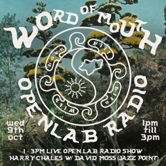 Word Of Mouth 62 – Harry Charles [with David Moss]