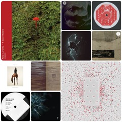 Favorite Releases from February 2025