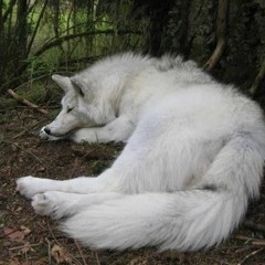 ミ☆playlist 3,☆ミ