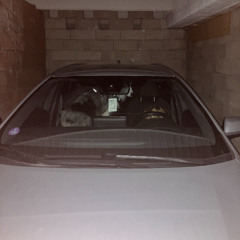 RAAR SHOW with LOUISAHHH - 1er Novembre 2025