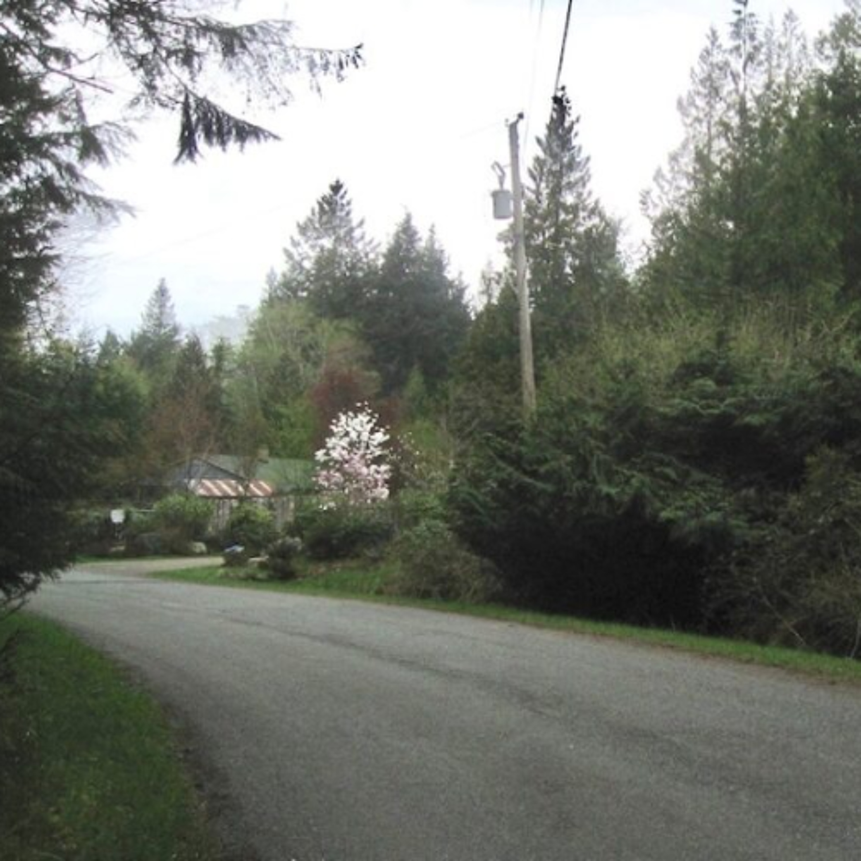 Cortes Island Garbage Pick-up being reduced to $86 episode artwork