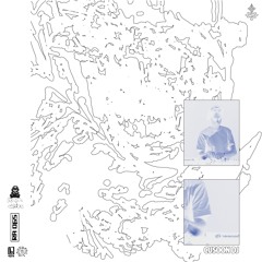 RA MIX 065: cusoon dj - polycaon