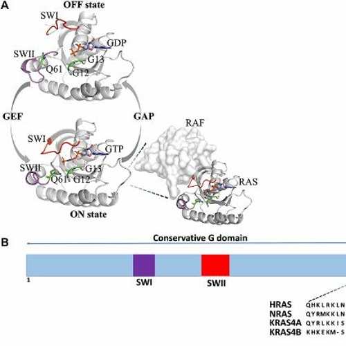 Stream episode Targeting Ras with Protein Engineering by Oncotarget