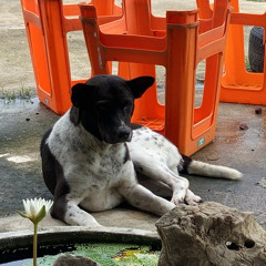 เก็บก่อนลืมกันใหม่ ( demo)