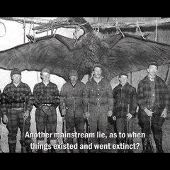 NEVERTHELESS (piano)