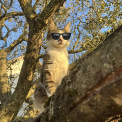 Ifke - Melodicno Sranje