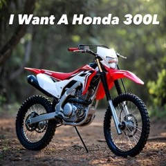 I Want A Honda 300L
