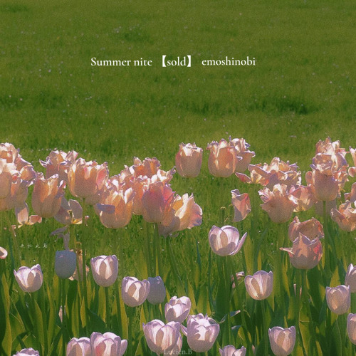 Summer nitesoldby emoshinobi