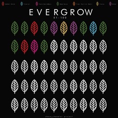 EVERGROW #64 - Party Starter (Disco/Prog/Deep x House)
