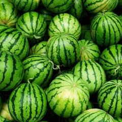 || watermelon breakfast || 46 46 techno mix ||