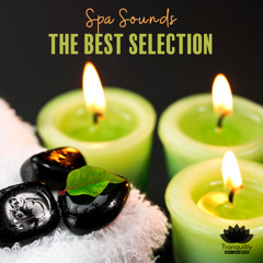 Blissful Buddha Garden Sounds