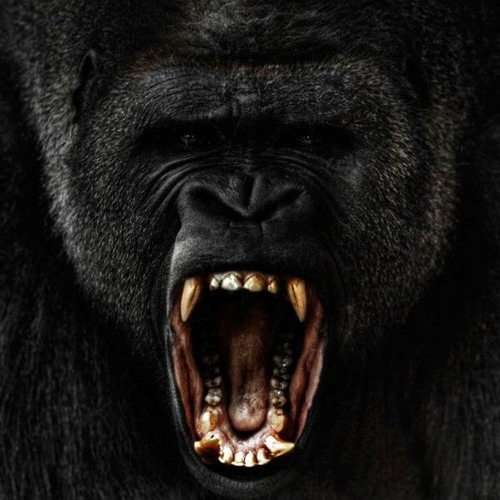 Big Bs [Prod. ReuelStopPlayin]