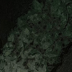 Fluid
