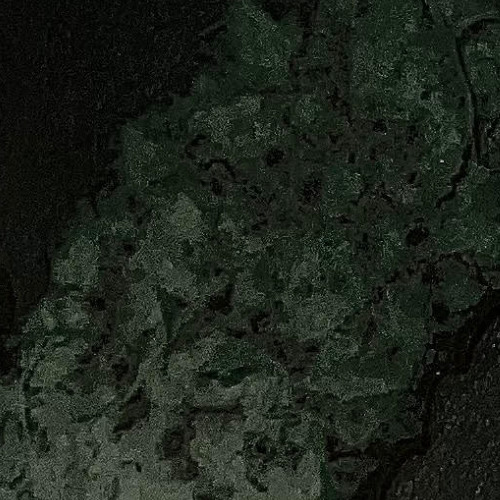 Fluid