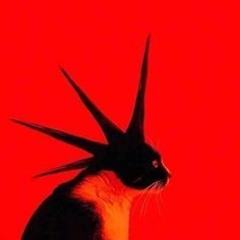 𝕽𝕺𝕮𝕶𝕾𝕳𝕴𝕿𝕸𝕺𝕾𝕳𝕻𝕴𝕿 + 99LA x 29theGod