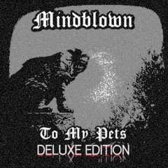 The Day That Started The Rain - Mindblown