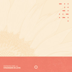 Strangers In Love (Extended Mix)