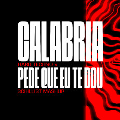 Calabria (HARD TECNHO) x Pede Que Eu Te Dou (Schillist Mashup) |*FILTERED COPYRIGHT*|