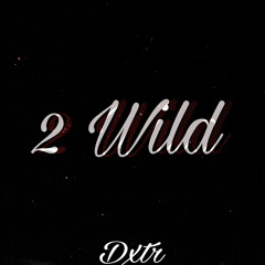 2Wild
