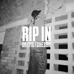 RIP IN
