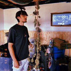 fresh off house arrest