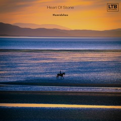 Hamidshax - Heart Of Stone (Original Mix)
