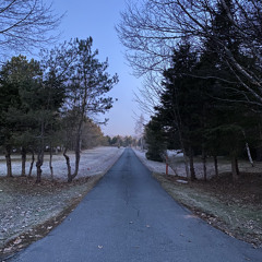 everyoneleaves (feat. boygrim)