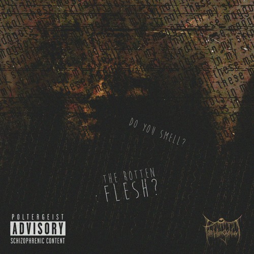 $U!C!DE OF A POLTERGEIST