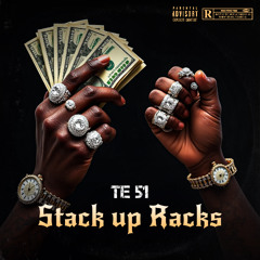 Stack up Racks Te 51