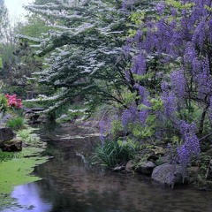 Bridging Safety And Belonging ❤️