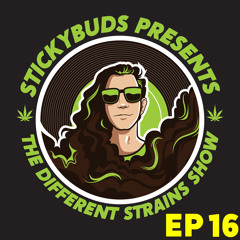 The Different Strains Show (EP16)