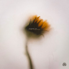 03. Unwavering Bloom