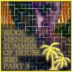 DJ BIOOL - ZUMMER OF HOUSE 2023 part 3