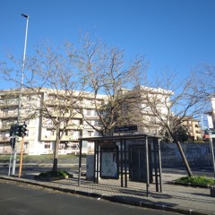 Linea BRT1 (My Everyday Struggle)