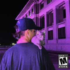 LSD - LIL WILLY X SAMY THE WIZART X TEAM COLORS