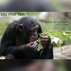 Blu Mar Ten - Face of the Earth  (Mix)