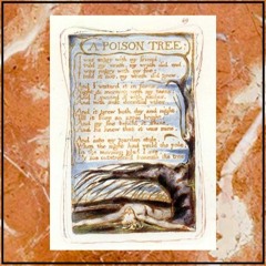 A Poison Tree (For Magalie Roman Salas)