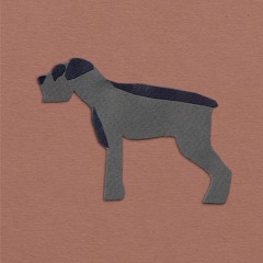 Nothing Embarrassing