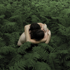 Panoram - The Question