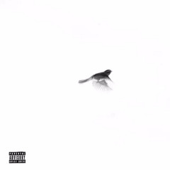 Catch a Opp (feat. Sha EK & Ciggy Blacc)