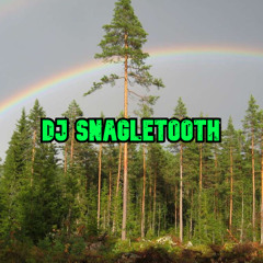 Whatever Whenever - SnagleTooth REMIX -
