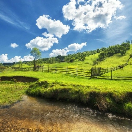 Tranced Out Your Mind Volume 4