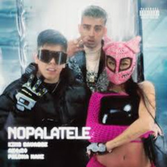 KING SAVAGGE FT PALOMA MAMI & AK420 - NOPALATE FIESTERO REMIX  - DJ JOOTA