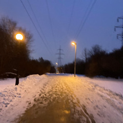 птицы