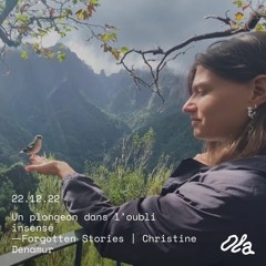 Forgotten Stories | Christine Denamur ⏤ Un plongeon dans l’oubli insensé