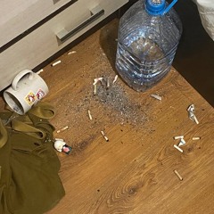 я заварился +тема светлов