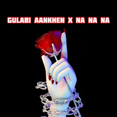 Gualbi Aankhen X Nanana(AfroHouse)