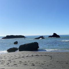 Beach trip