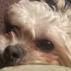 You Shouldn't Assume