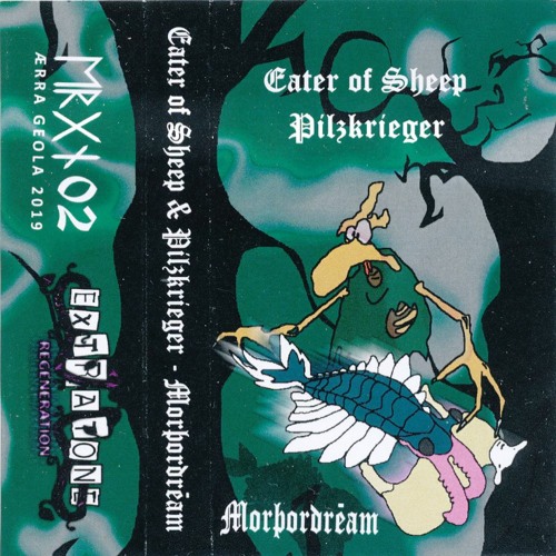 𝔈𝔩 𝔎𝔯𝔞𝔴𝔞𝔩𝔩𝔬 𝔙𝔖. 𝔓𝔦𝔩𝔷𝔎𝔯𝔦𝔢𝔤𝔢𝔯 - 𝔇𝔲𝔯𝔠𝔥𝔤𝔢𝔡𝔯𝔢𝔥𝔱